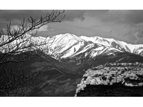 photo coins arrondis